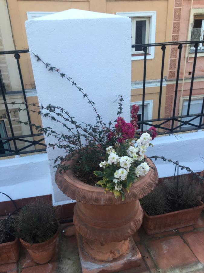 Romantic Central Terrace Madrid Kültér fotó